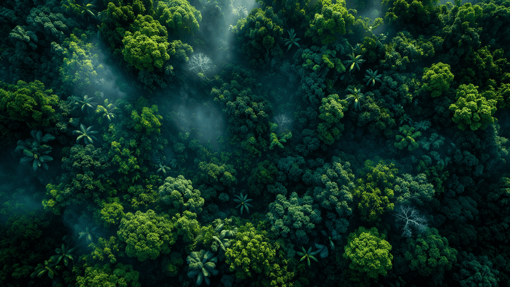 Monitoramento de incêndios